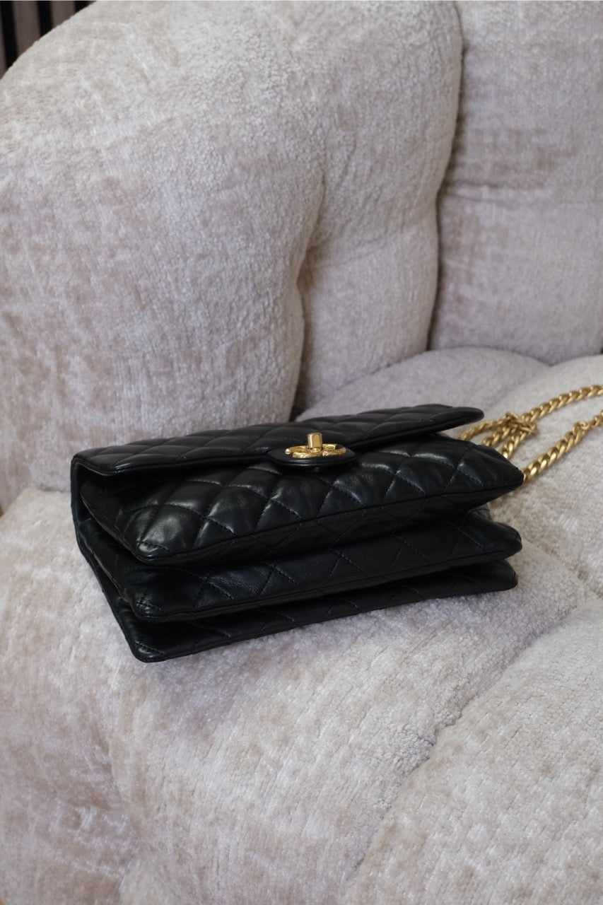 Chanel - Timeless Classic Single Flap – Seasonal Edition